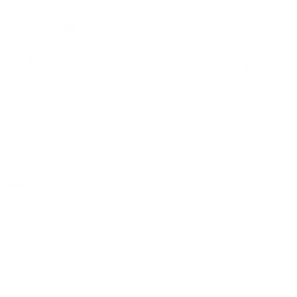 OEL Logo